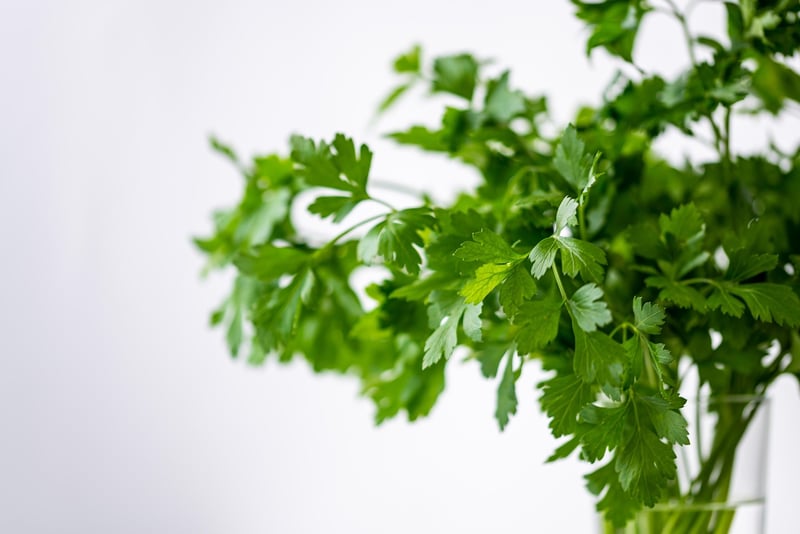 Hanging Herb Garden