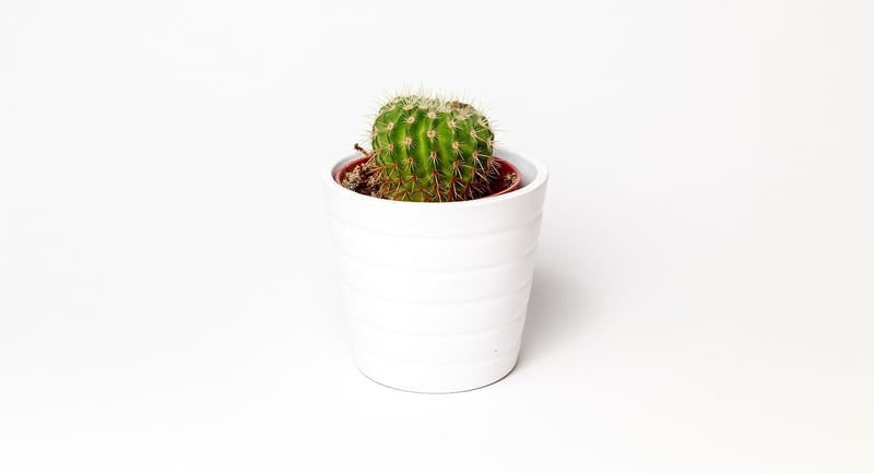Plant Stand
